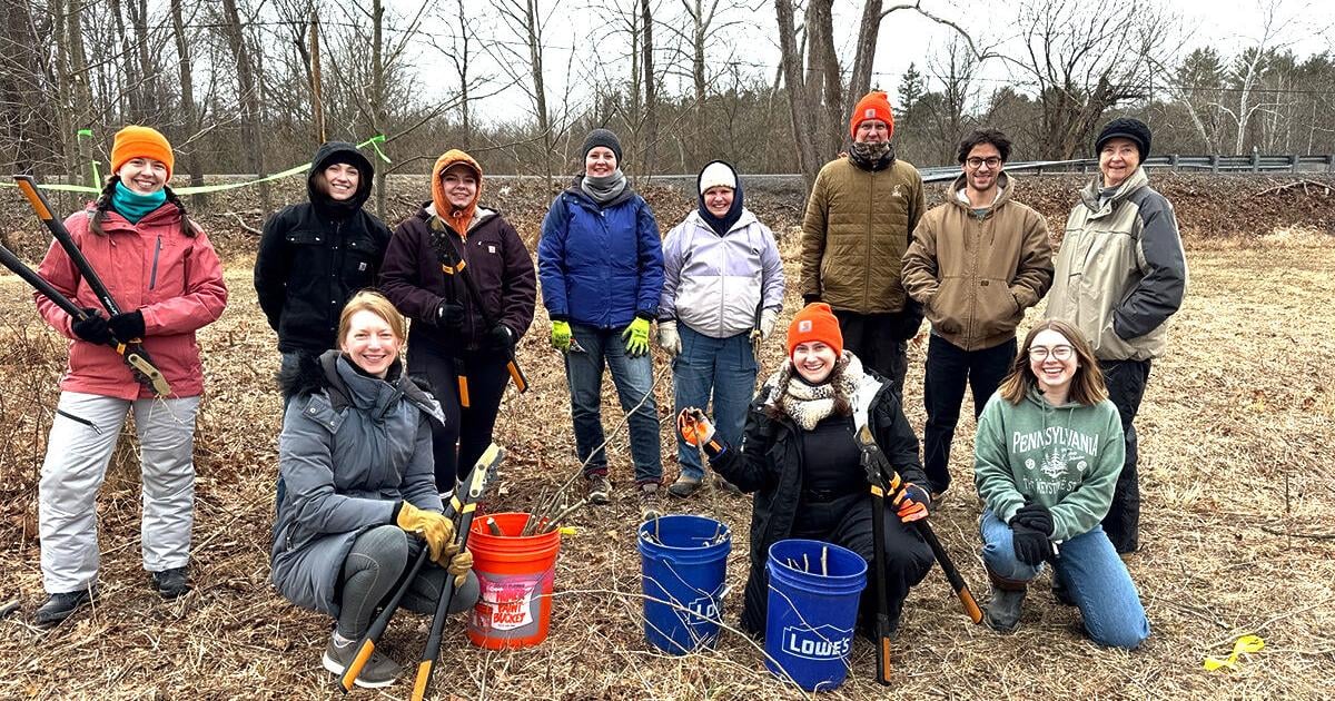 ‘Live-stake’ streamside buffer plantings reach 100,000 in Pennsylvania
