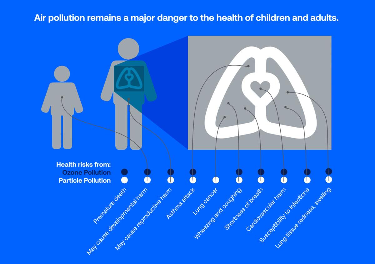 Air pollution effects on human health