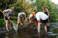 Searching for hellbenders