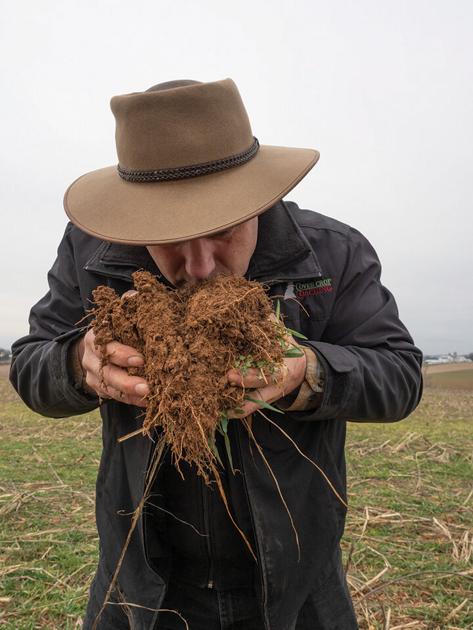 Soil health practices increasingly helping farmers hit pay dirt - The Chesapeake Bay Journal