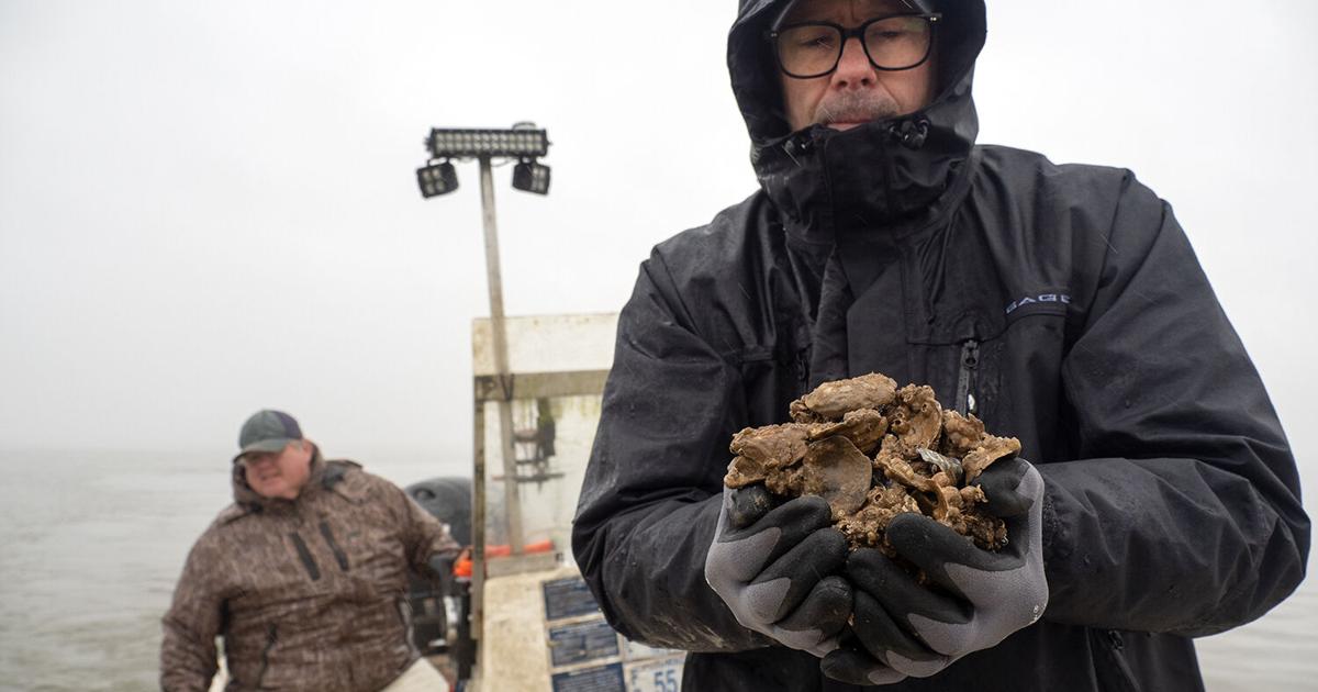Shell Trove Trove of oyster shells discovered in Potomac River. Now what ...