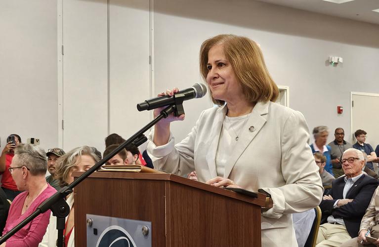 Virginia gas plant moves ahead despite community objections | Energy ...