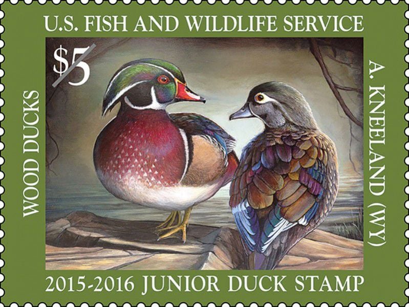 Federal duck stamps to preserve habitat aren t just for hunters