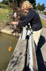 water sampling