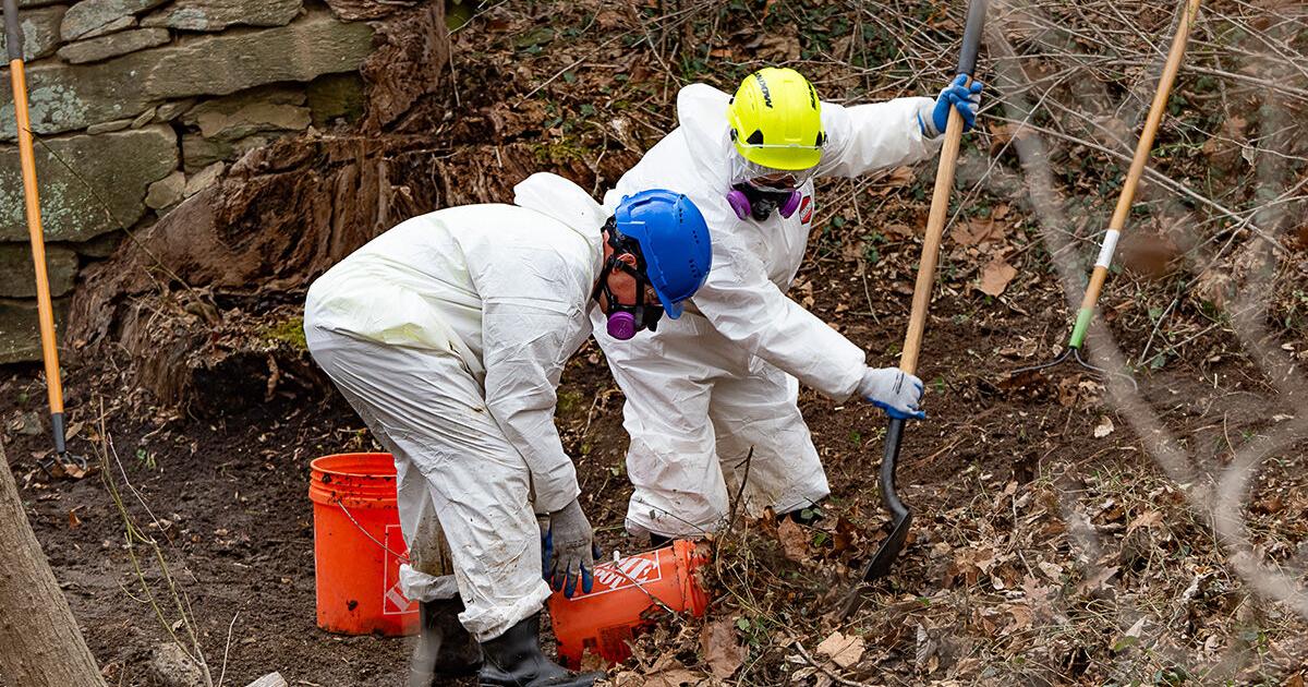 ‘Back to what it was’: DC sewage response shifts to cleanup