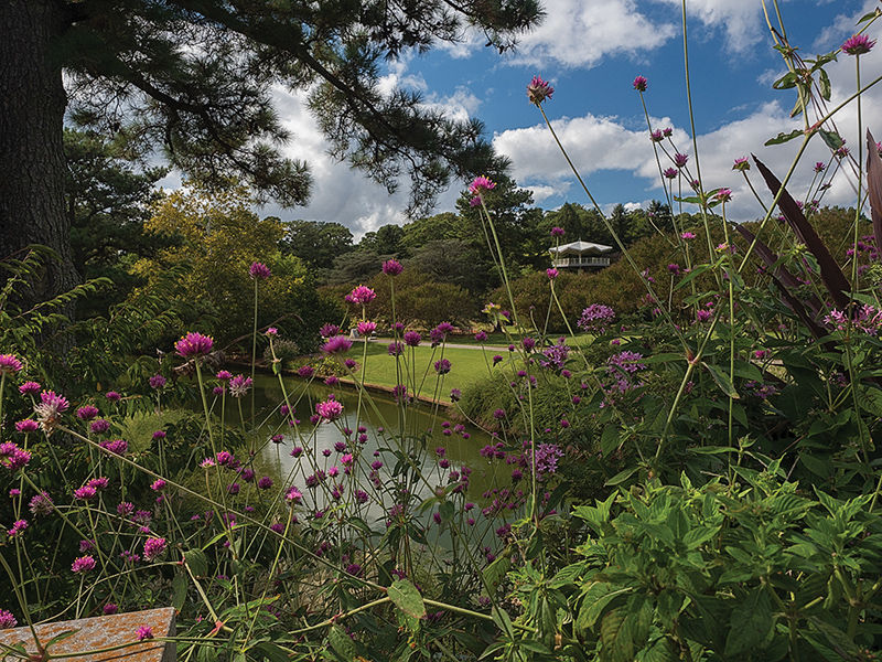 ‘Dig A Little Deeper’ At The Norfolk Botanical Garden | Travel ...