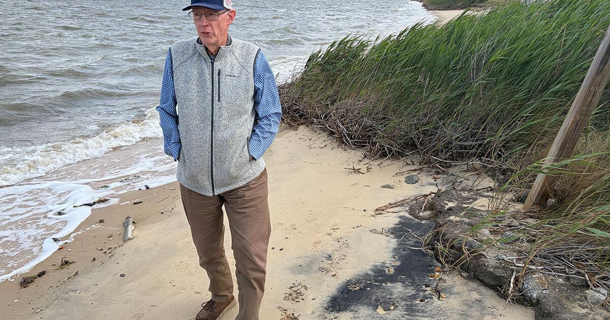 Huge oyster project in Virginia signals marked shifts in strategy