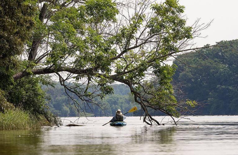 Paddler on Great Bohemia Creek, MD