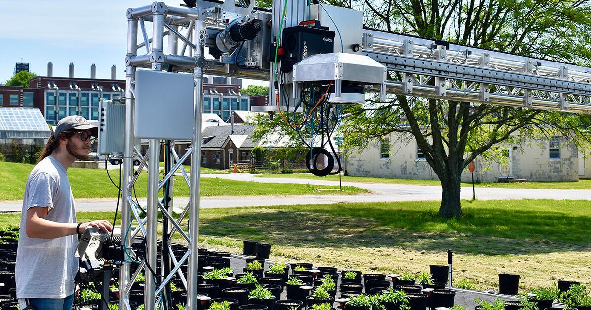 AI tool helps farmers keep nutrient pollution out of water