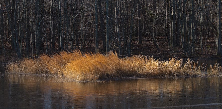 Visitors learn it’s all about the wildlife at Patuxent Research Refuge ...