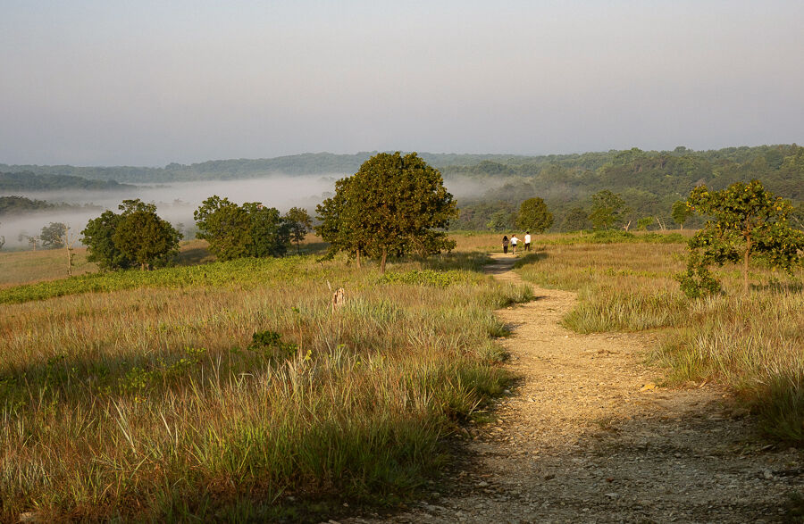 Soldiers Delight Serpentine Barrens Multimedia
