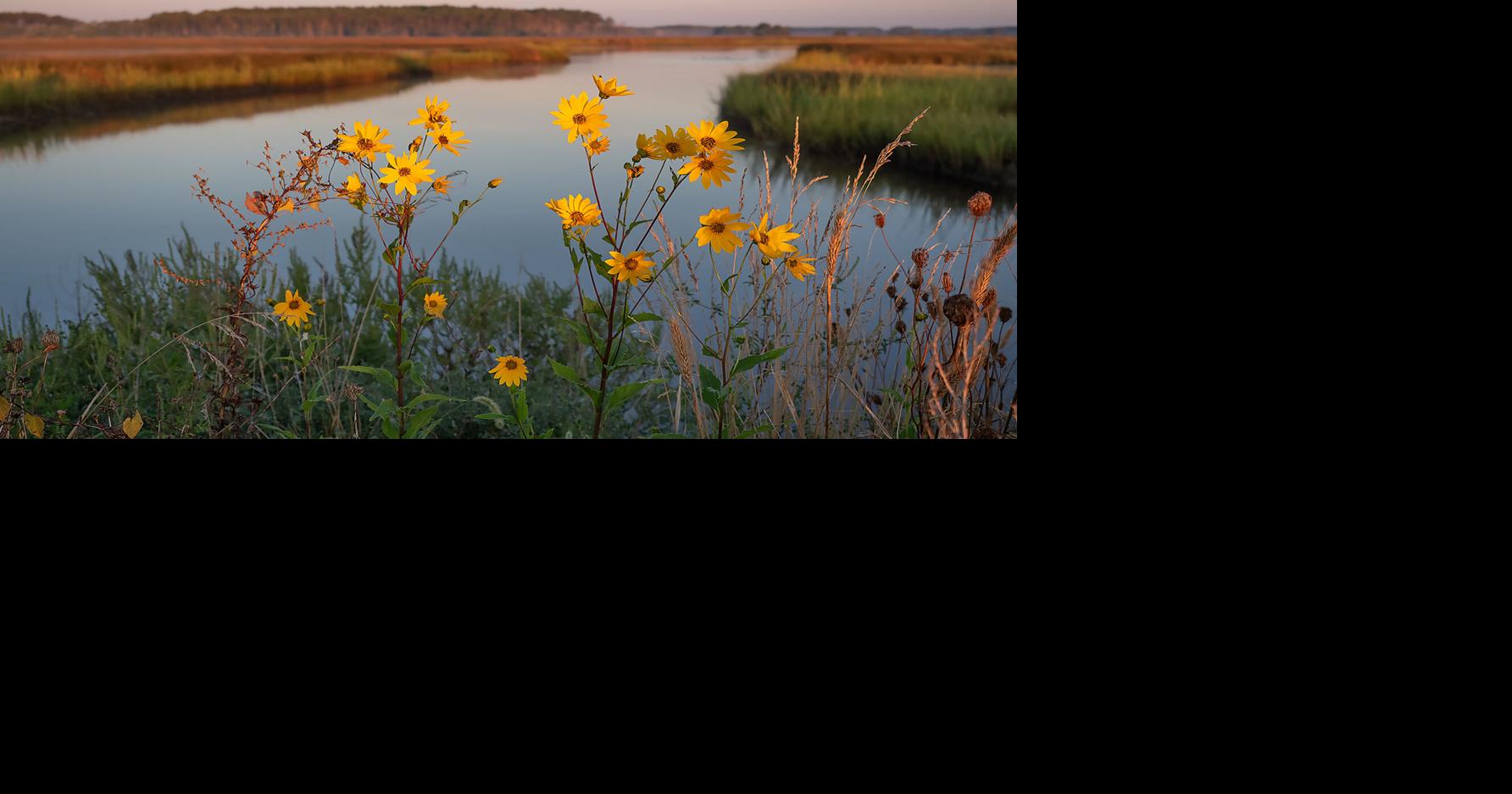 Keeping the Chesapeake spirit alive beyond 2025 Forum