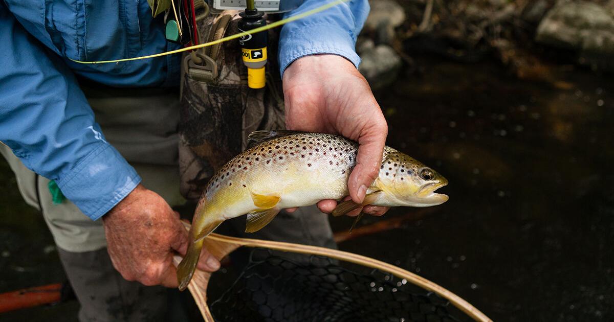 Pennsylvania trout anglers divided over state-run stocking program