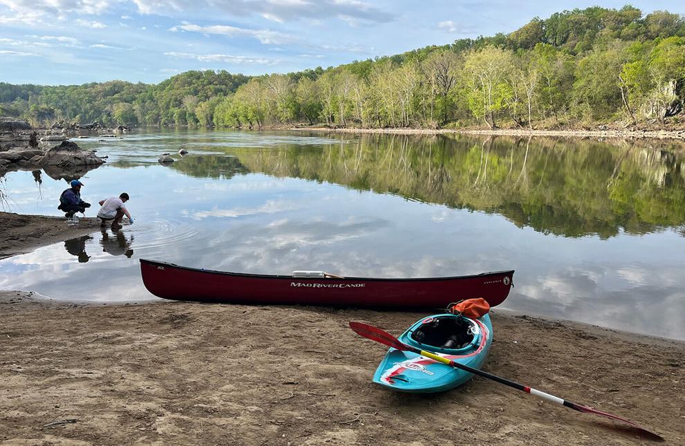 How long will the Potomac River suffer sewage spill impacts?