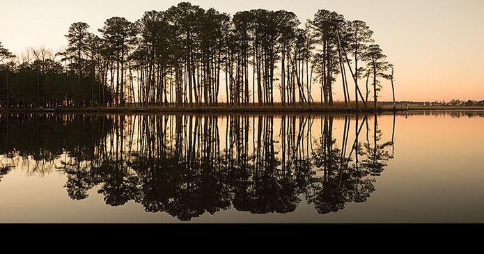 New data shows less progress toward Chesapeake cleanup goals