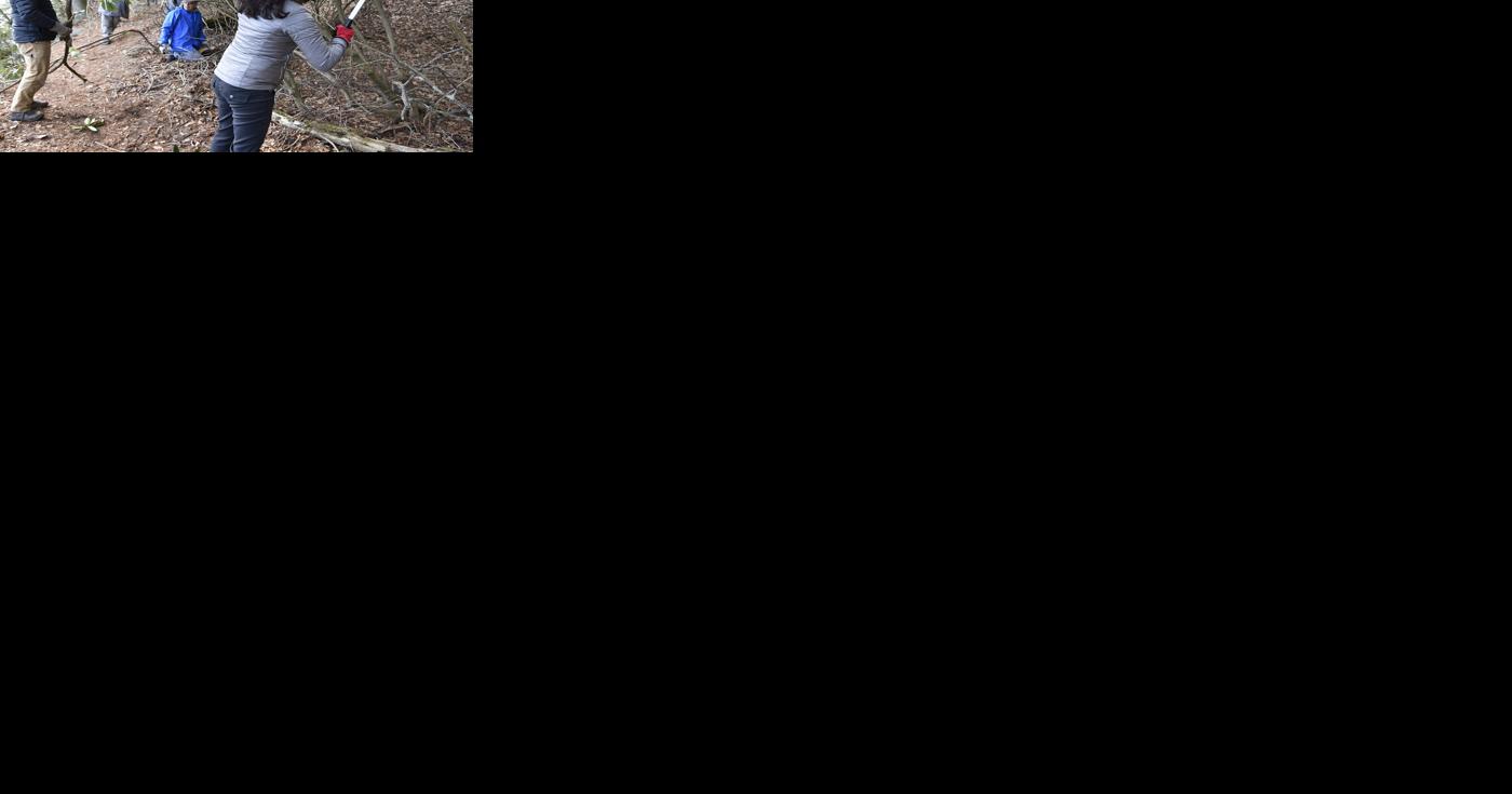 Volunteers needed in Pennsylvania to help maintain trails strained by record use - Vimarsana News