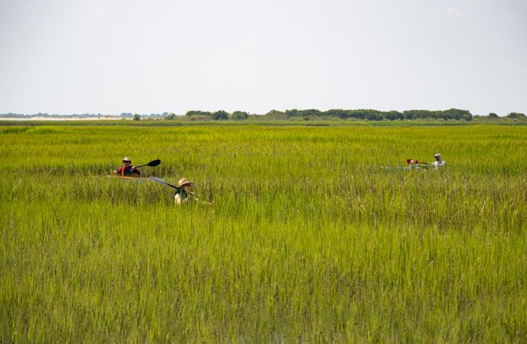 Paddle at Chesapeake's mouth highlights nature in flux | Travel ...