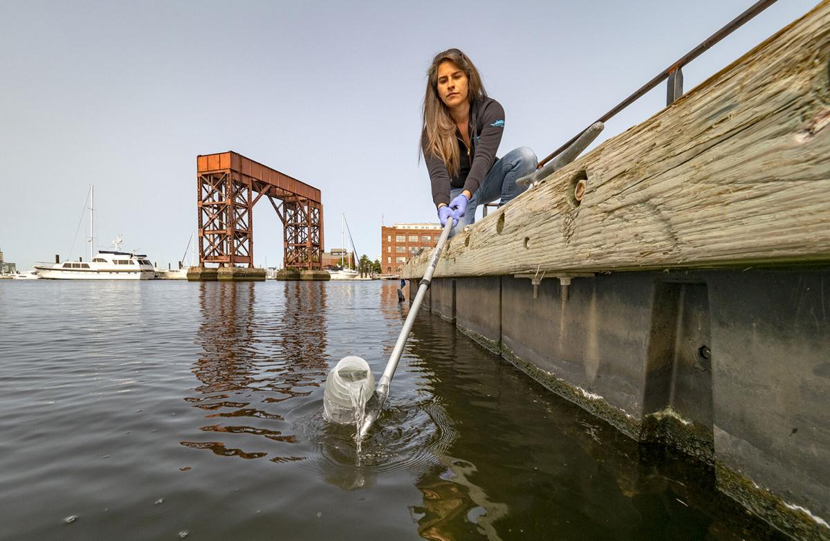 Baltimore Harbor water monitoring