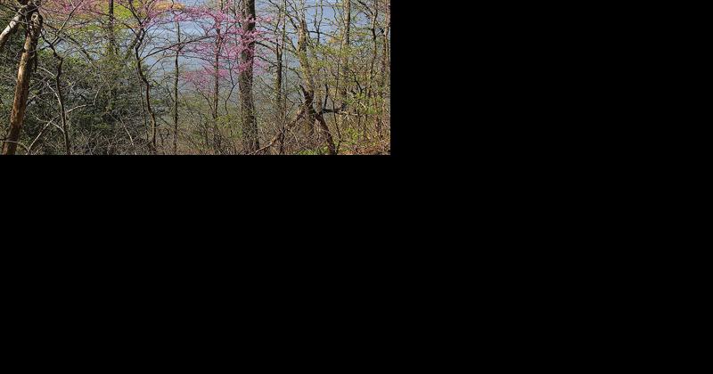 Crow's Nest Natural Area in Virginia expands by 59 acres | Growth & Conservation - Vimarsana News