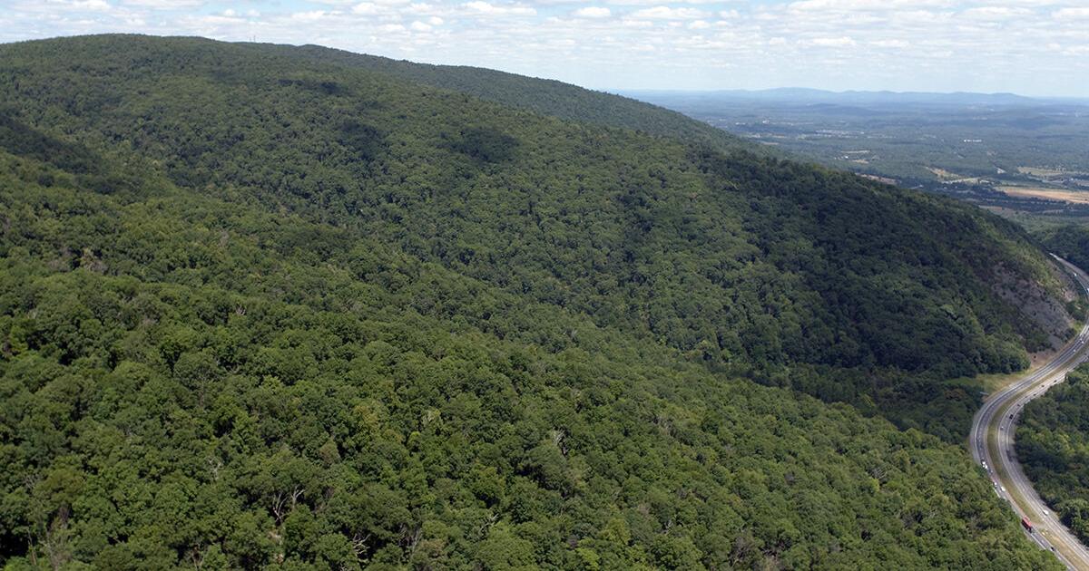 Virginia and partners protect more than 5,000 acres of forestland