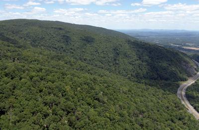 Virginia and partners protect more than 5,000 acres of forestland ...