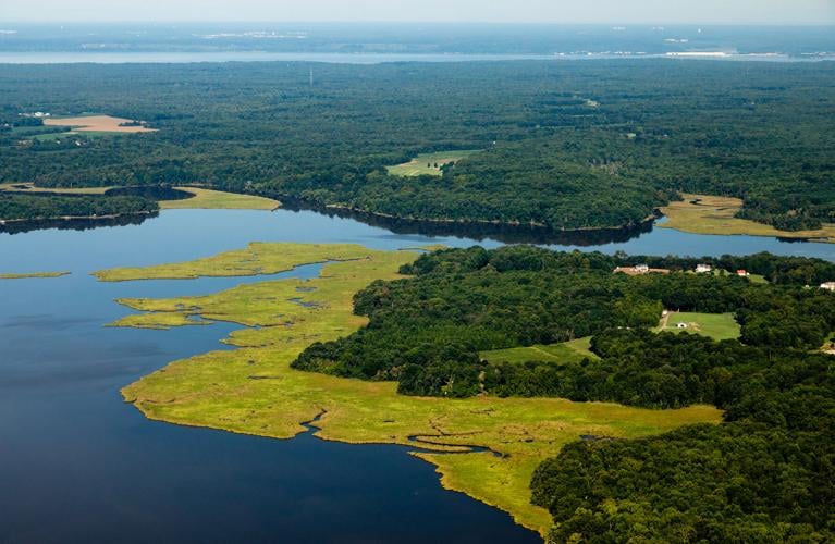 Federal wildlife refuge looks to expand in Southern Maryland Growth