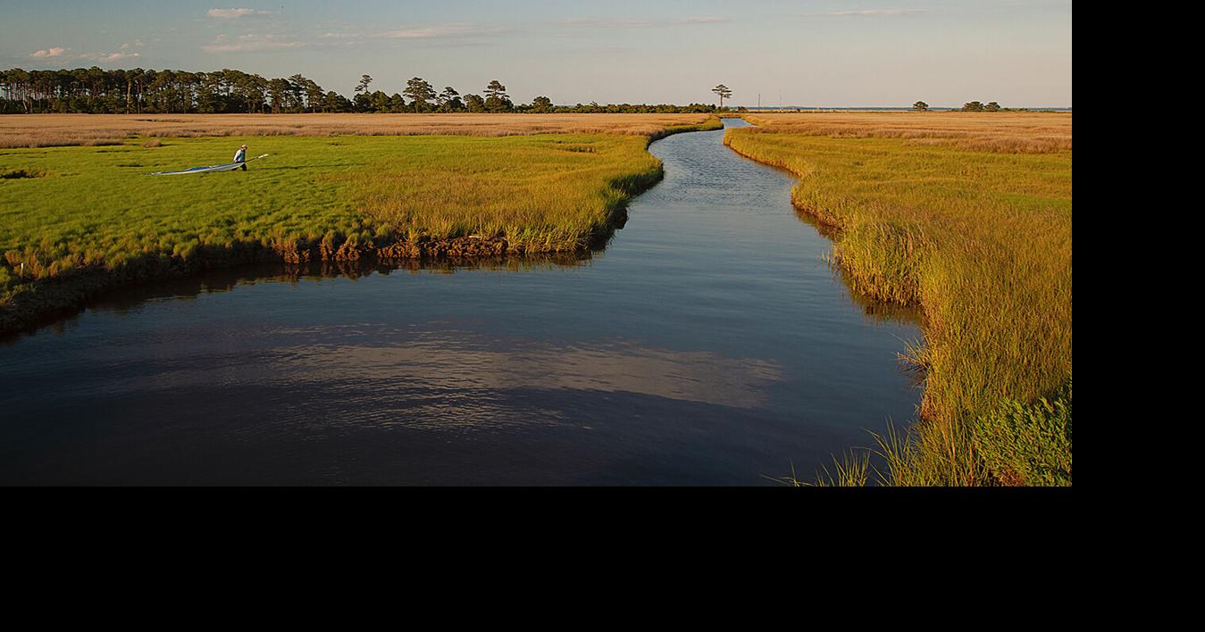 EPA proposes ‘significant’ funding, staff cuts to Chesapeake Bay advisors