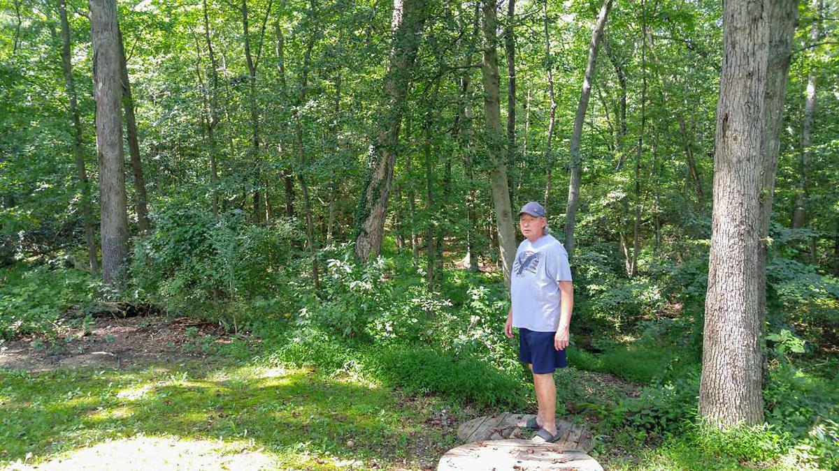 Groups Fight For Maryland Forest On Chopping Block Growth Conservation Bayjournal Com