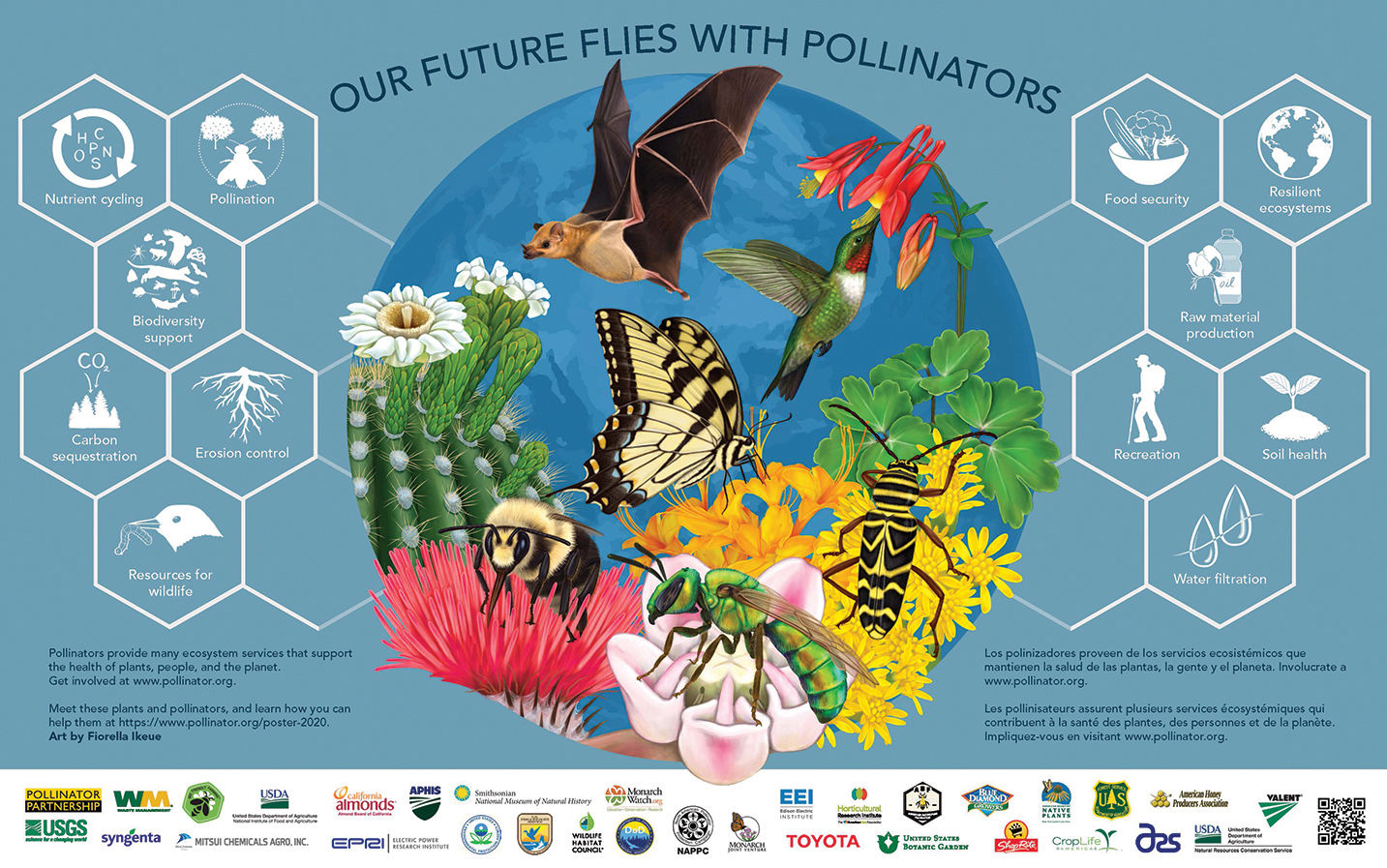 Do You Like To Eat And Breathe? Thank A Pollinator | Bay Naturalist ...