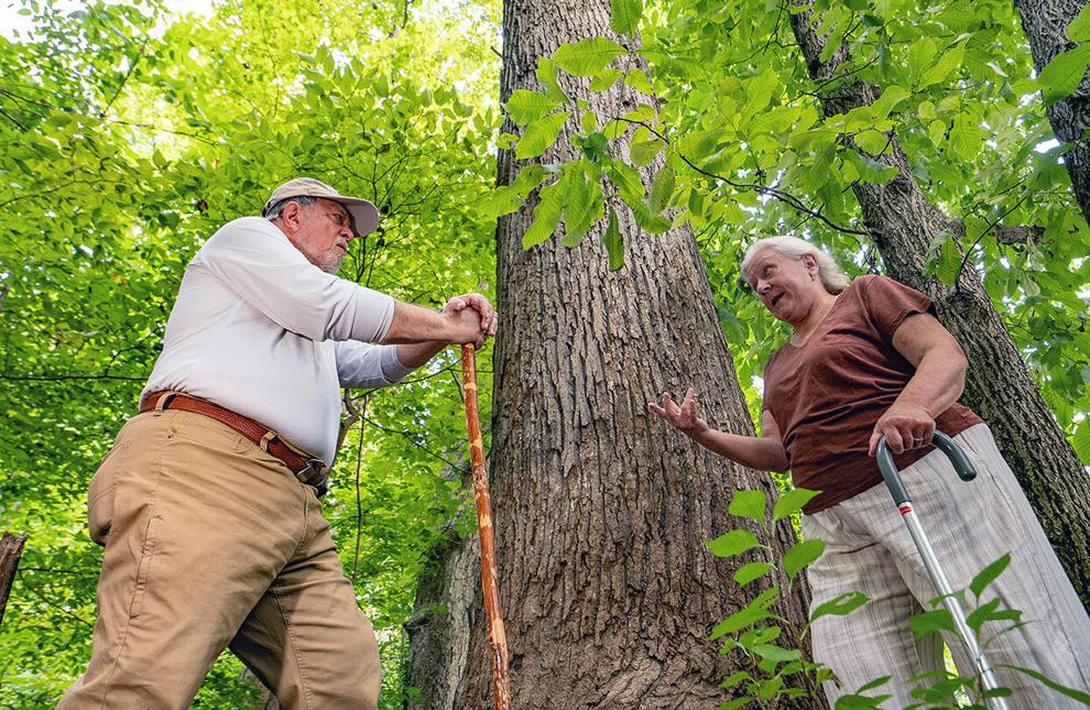 Plans for old Six Flags site in Maryland reignite concerns for Belt Woods