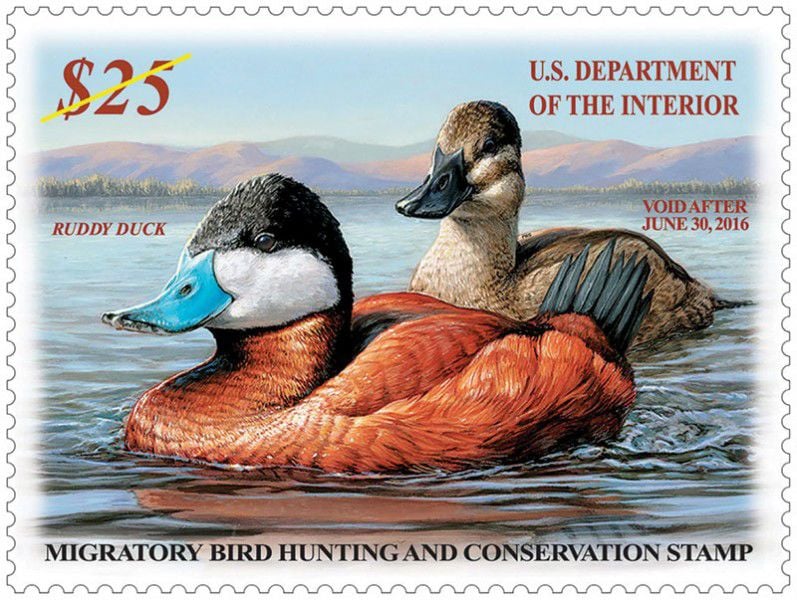 Federal duck stamps to preserve habitat aren t just for hunters