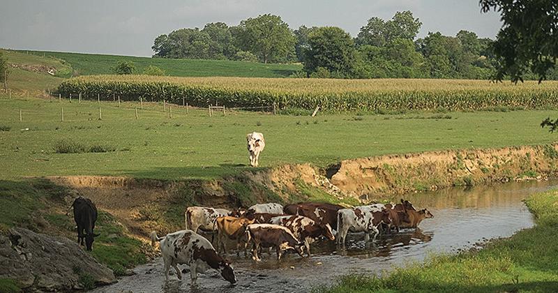 EPA to review Pennsylvania's latest cleanup plan for the Chesapeake Bay - Vimarsana News