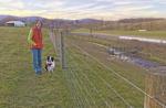 Stream fencing on VA farm