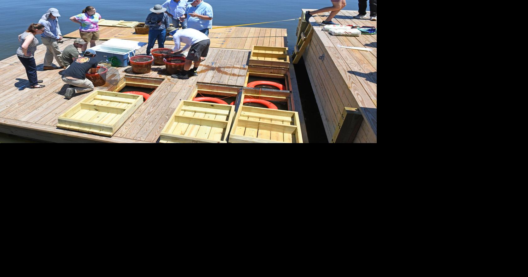 Champions of Potomac River mussels summon a ‘science barge’