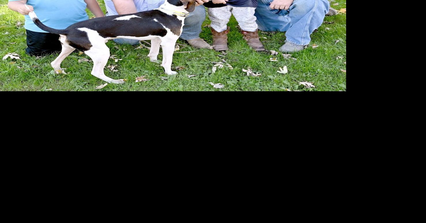 Davis County coon hound reaches final three at world championship