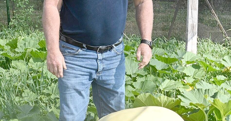 King grows winning vegetables