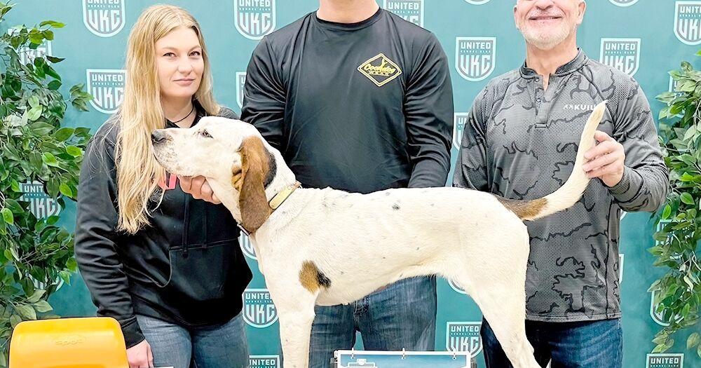 Risk coonhound named UKC Triple Crown winner By Kimra Hines, Reporter Oct 20, 2026 2 hrs ago