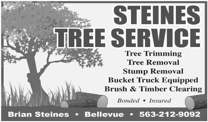 Steines Tree Service