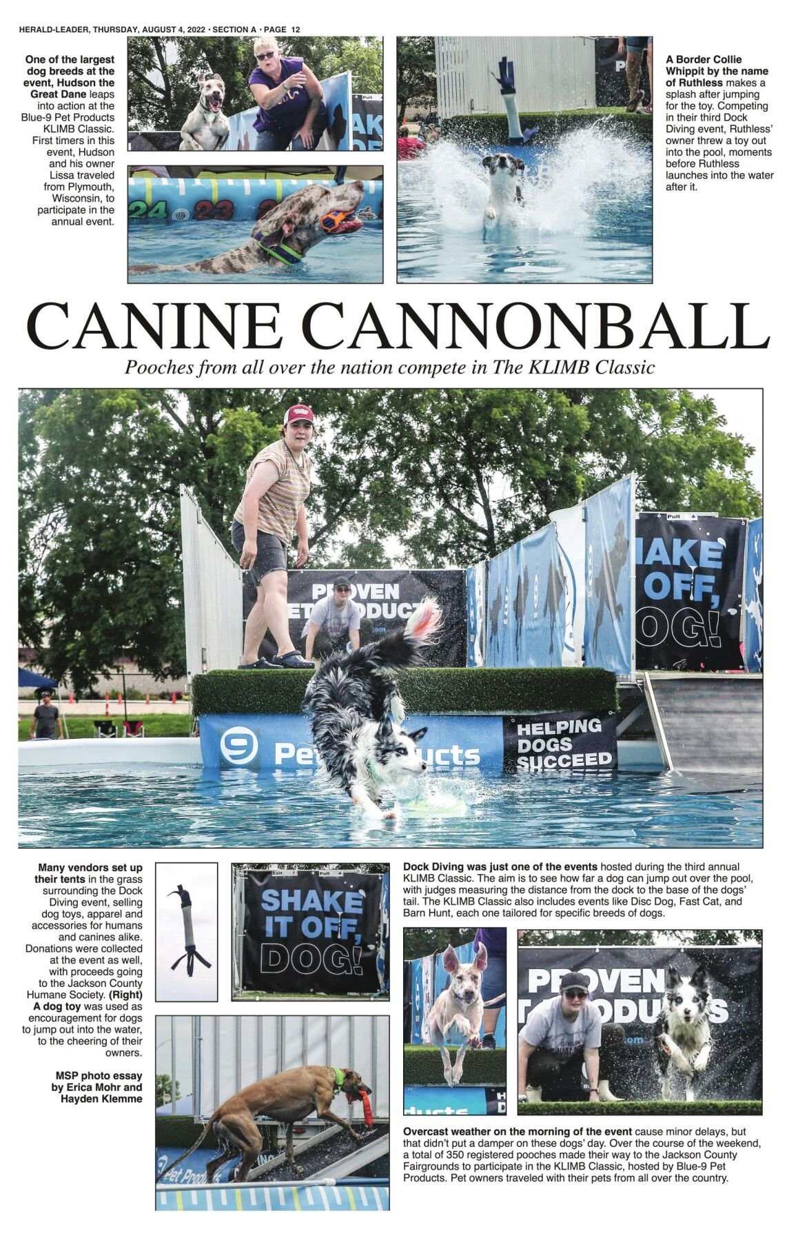 Canine Cannonball