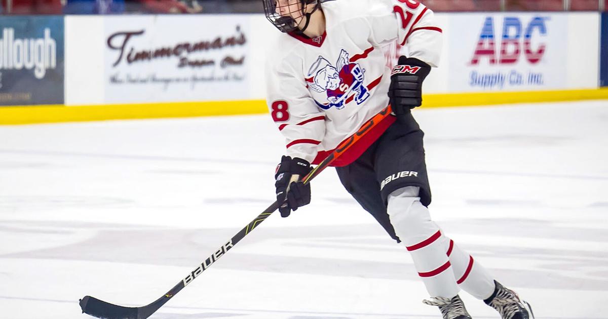 Local youth part of Midwest High School Hockey League News