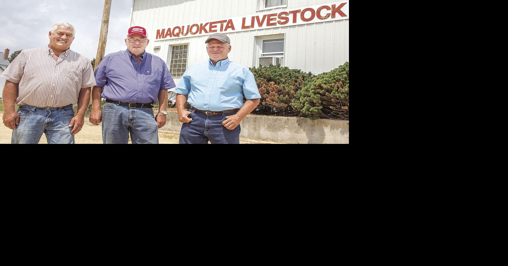 Maquoketa Livestock opens Sept. 15 for its first auction under new