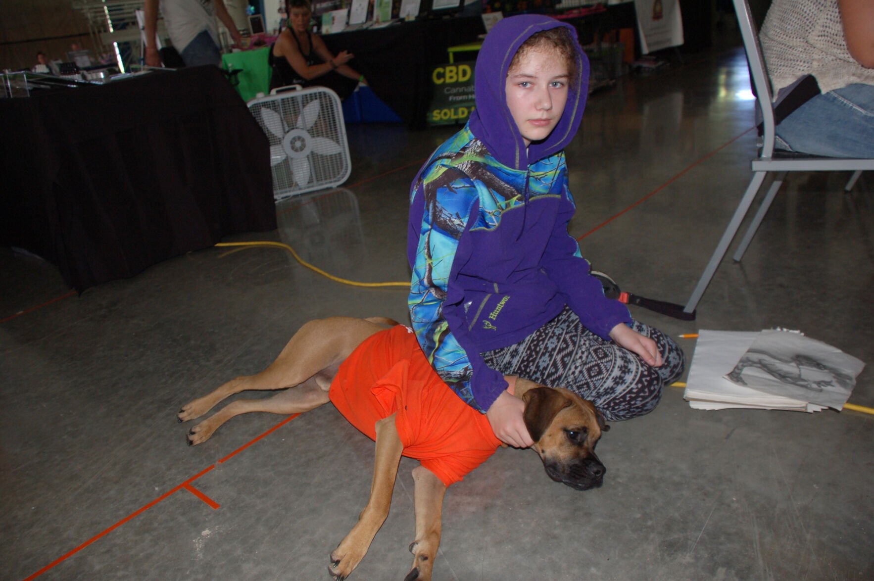 Animal Lovers Turn Out For Humane Society 'Woofstock' Benefit ...