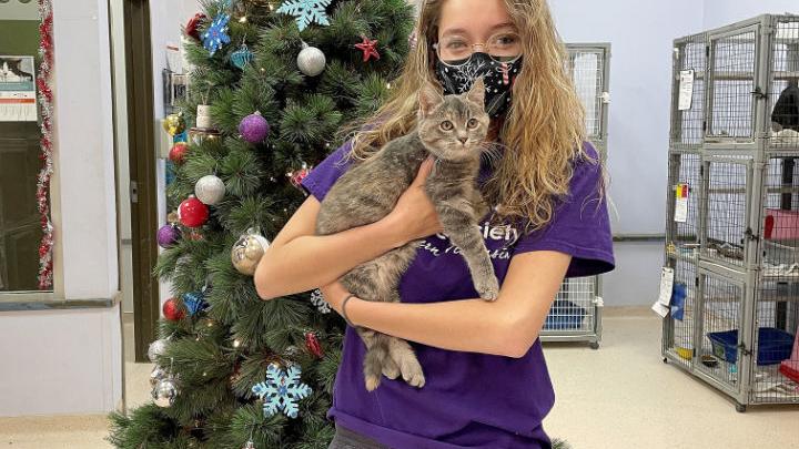 'Heroes' raise almost $13,000 for humane society - Vimarsana News