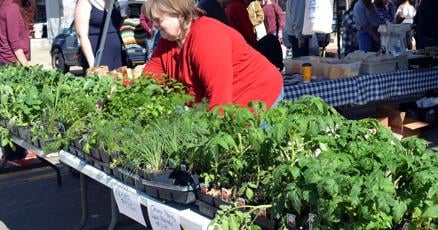 Downtown Beloit Farmers Market debuts its outdoor market next weekend Downtown Beloit Farmers Market debuts its outdoor market next weekend