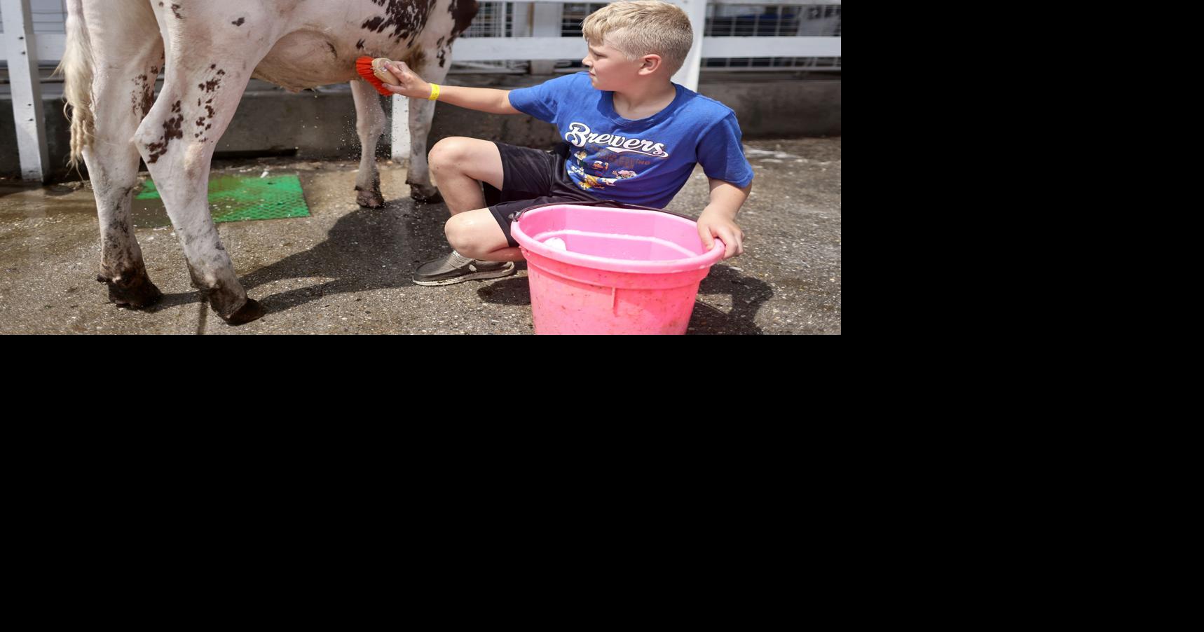 Rock County 4H Fair returns after yearlong absence Local News