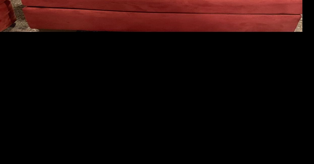 Beloit family's love for Sheltie puppies spans multiple generations