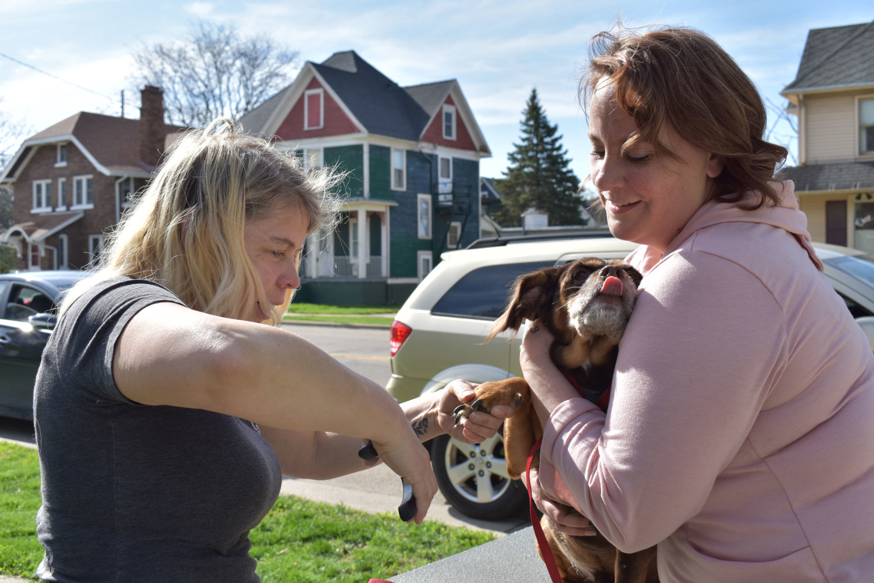 groomer that comes to house