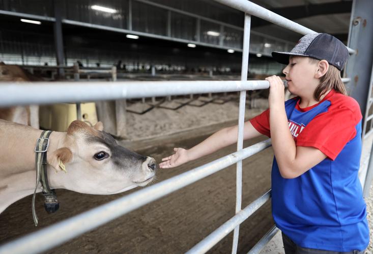 Daluge family, of Janesville, hosting annual Rock County Dairy