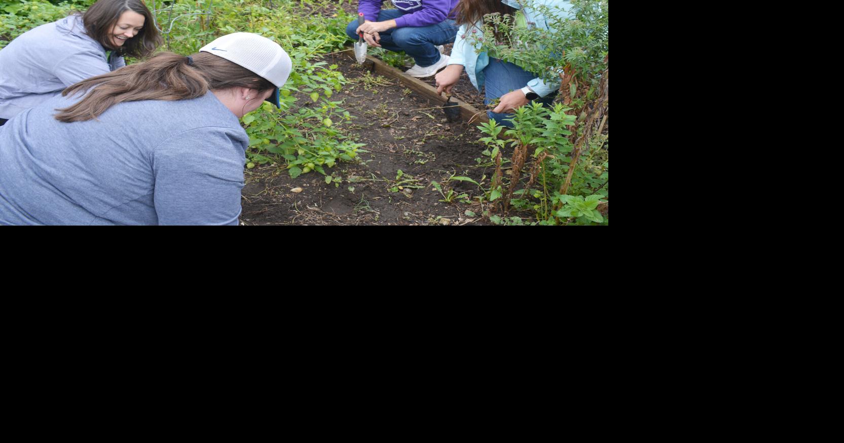 Volunteers.give back to community in Day of Caring | Local News ...