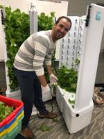 Beloit schools launching hydroponic gardens